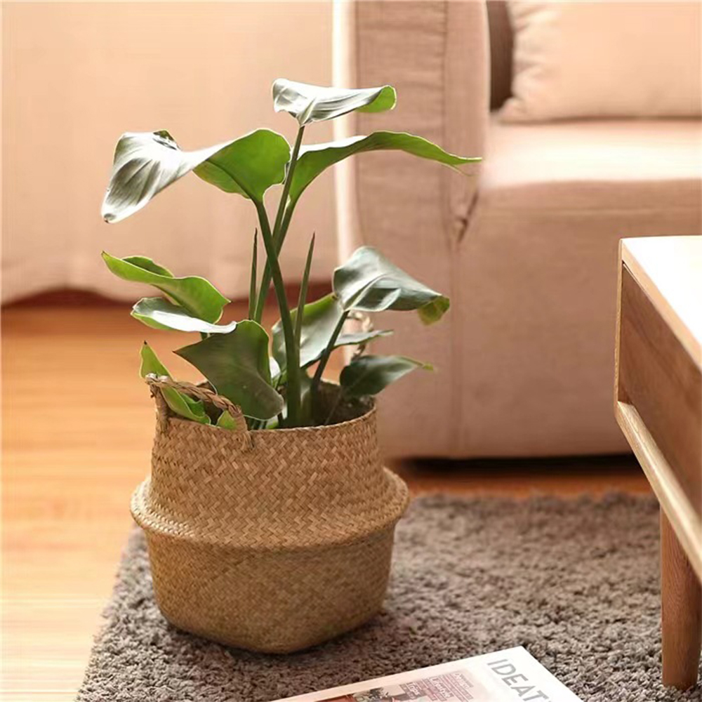 Plant Basket with Handles Wick - Rattan Plant Basket review and price