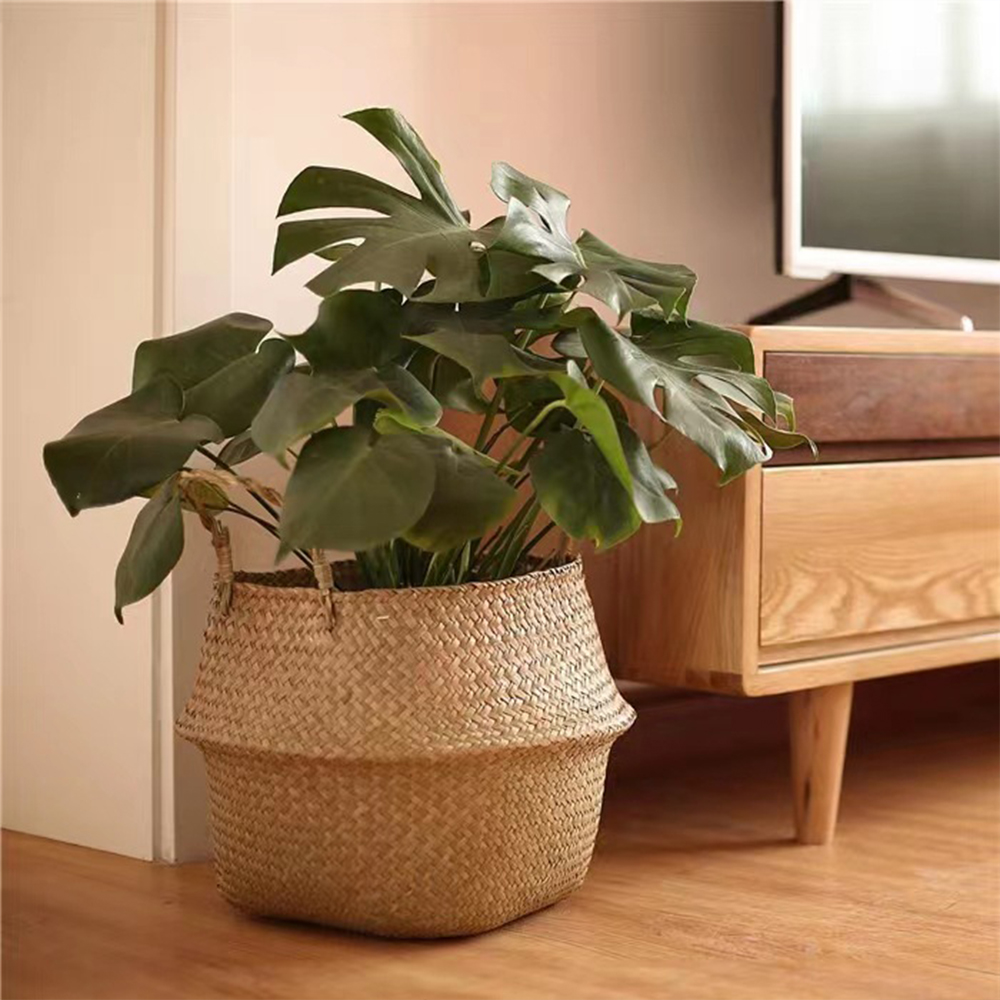 Plant Basket with Handles Wick - Rattan Plant Basket review and price